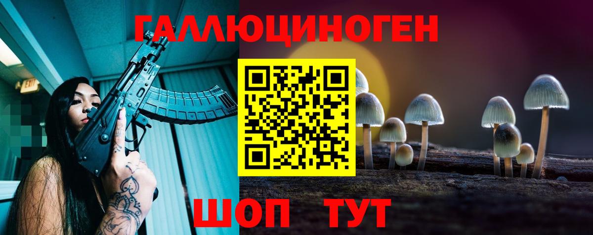 Новоалтайск  Псилоцибиновые грибы MAGIC MUSHROOMS  Галлюциногенные грибы MAGIC MUSHROOMS  Вход с VPN 