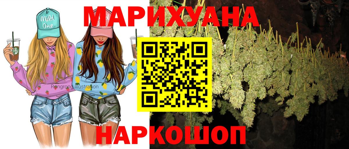 Бошки марихуана конопля Новоалтайск